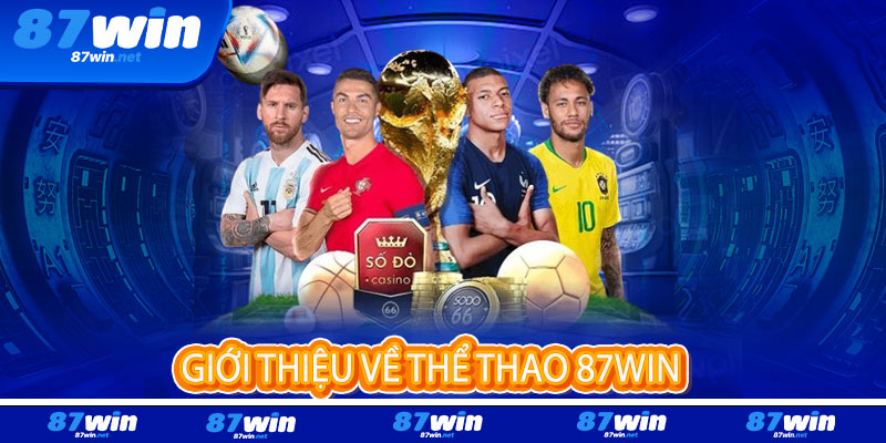 Thể Thao 87Win - Tỷ lệ đỉnh cao, cược siêu tốc, thắng cực đã 2 Giới thiệu về Thể Thao 87Win