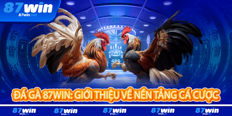 Đá Gà 87Win - Đỉnh cao đam mê, thắng lớn rực lửa 2 Đá Gà 87Win: Giới thiệu về nền tảng cá cược