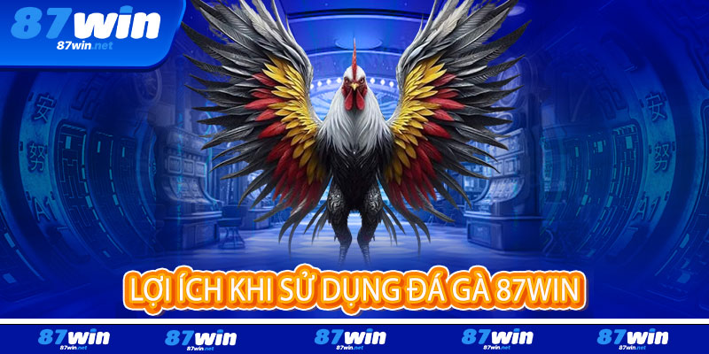 Đá Gà 87Win - Đỉnh cao đam mê, thắng lớn rực lửa 3 Lợi ích khi sử dụng Đá Gà 87Win